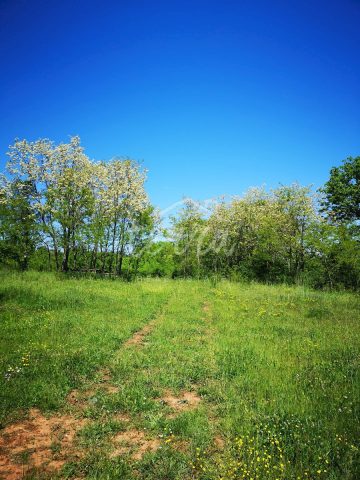 Pozemek na prodej 1940 m² – Manjadvorci