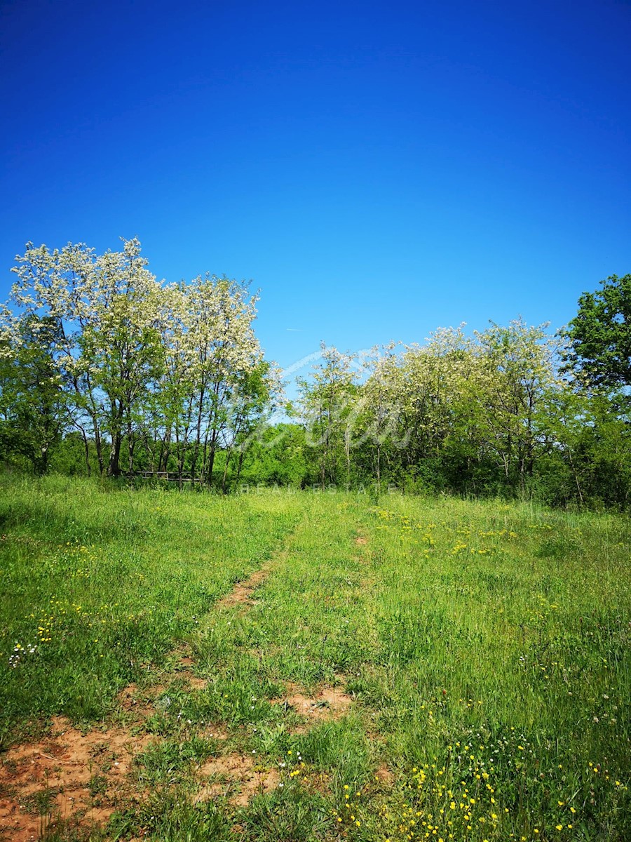 Terreno In vendita - ISTARSKA BARBAN