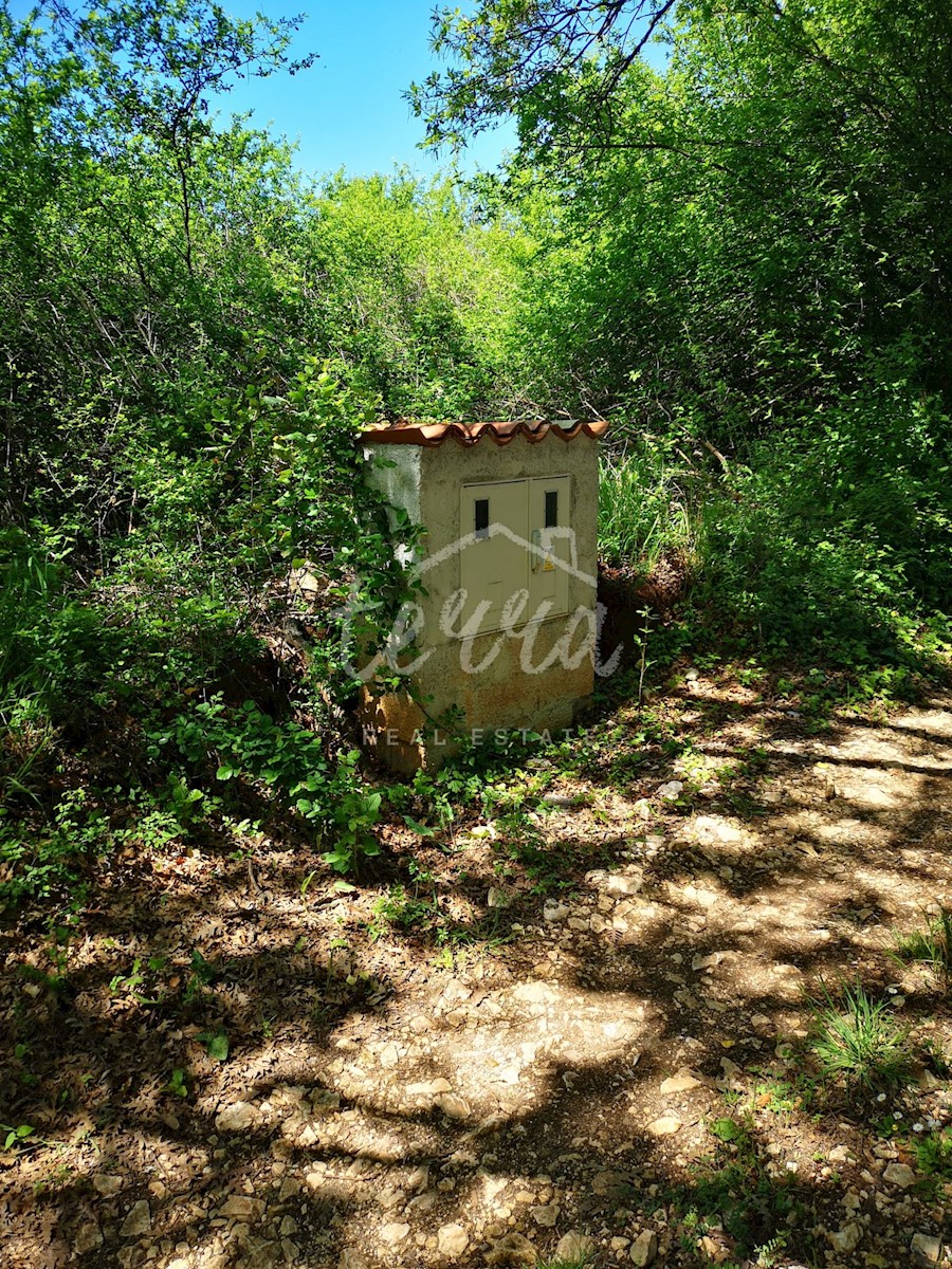 Terreno In vendita - ISTARSKA BARBAN
