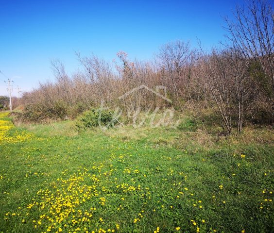 Działka na sprzedaż 5034 m² – Labin