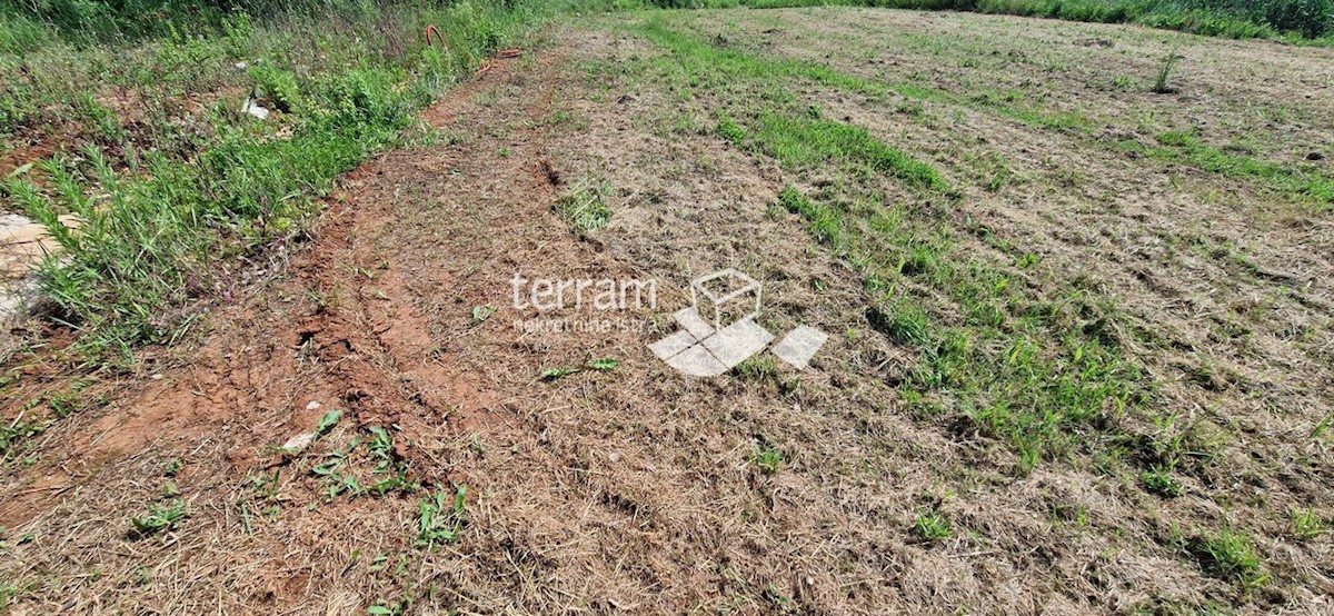 Terrain À vendre - Istarska Ližnjan - foto 4/4
