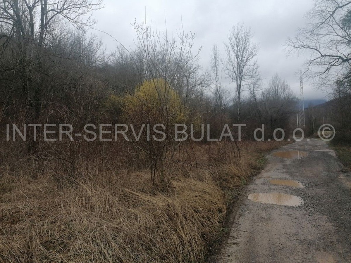 Terreno In vendita DRENOVAC RADUČKI