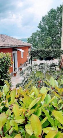 Haus Zu verkaufen - Istarska Motovun - foto 4/20