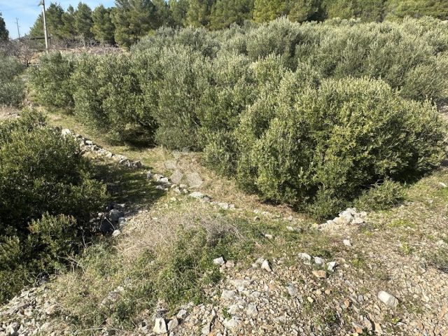 Land For sale - Splitsko-dalmatinska Hvar - foto 5/5