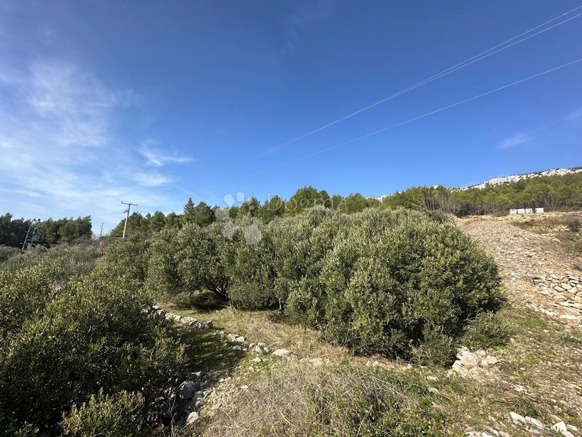 Land For sale - SPLITSKO-DALMATINSKA HVAR