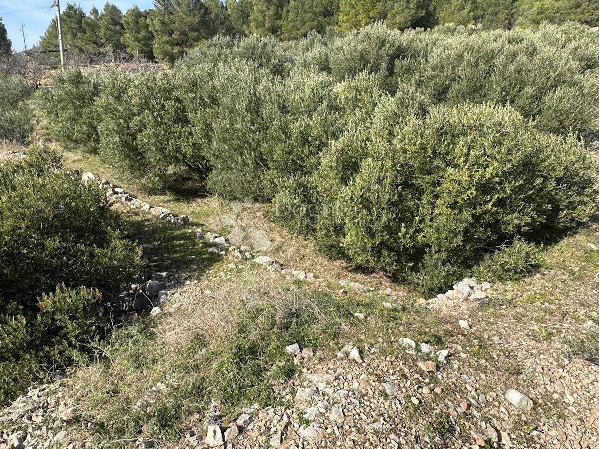 Land For sale - SPLITSKO-DALMATINSKA HVAR