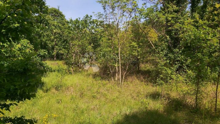Grundstück zu verkaufen 1856 m² – Snašići