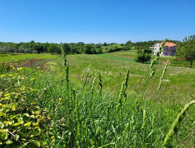 Terrain à vendre 1637 m² – Gračišće