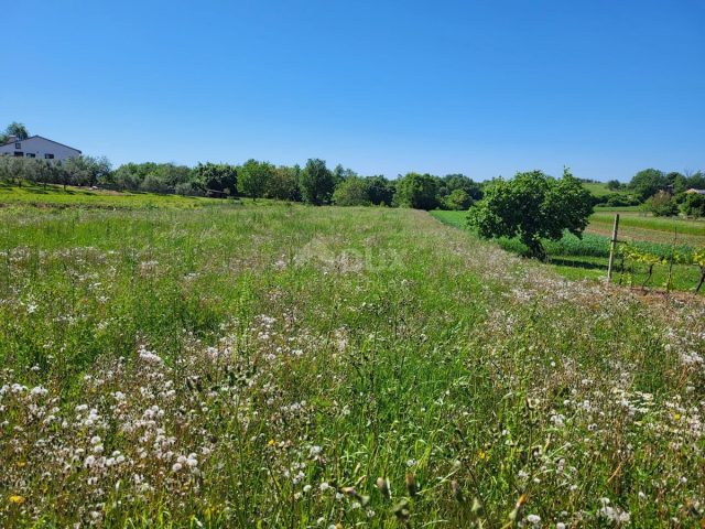 Parcela Naprodaj - Istarska Gračišće - foto 2/6