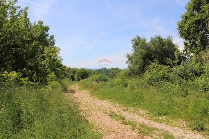 Zemljište na prodaju 6581 m² – Tar