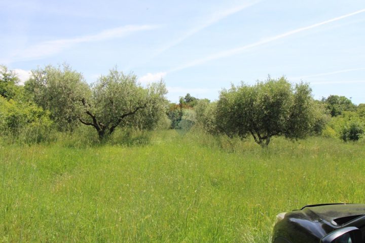 Zemljište na prodaju 1845 m² – Tar