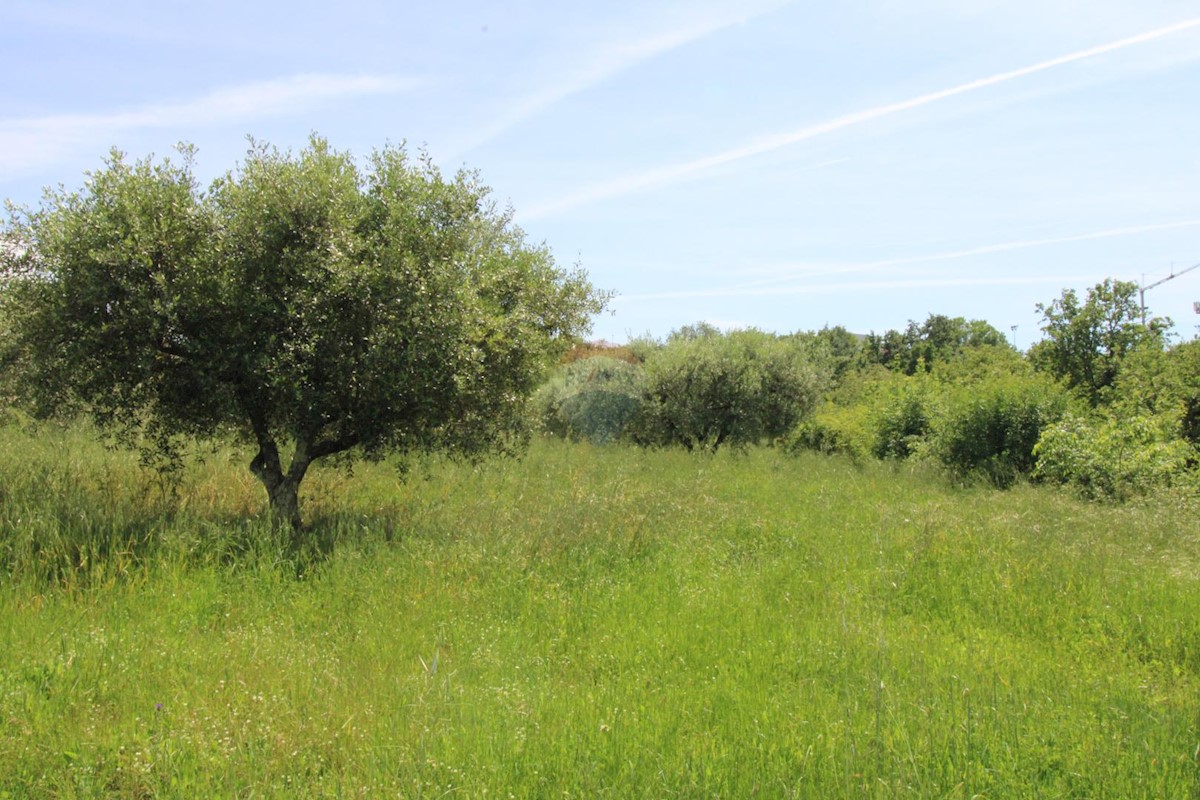 Pozemek Na prodej - ISTARSKA TAR-VABRIGA