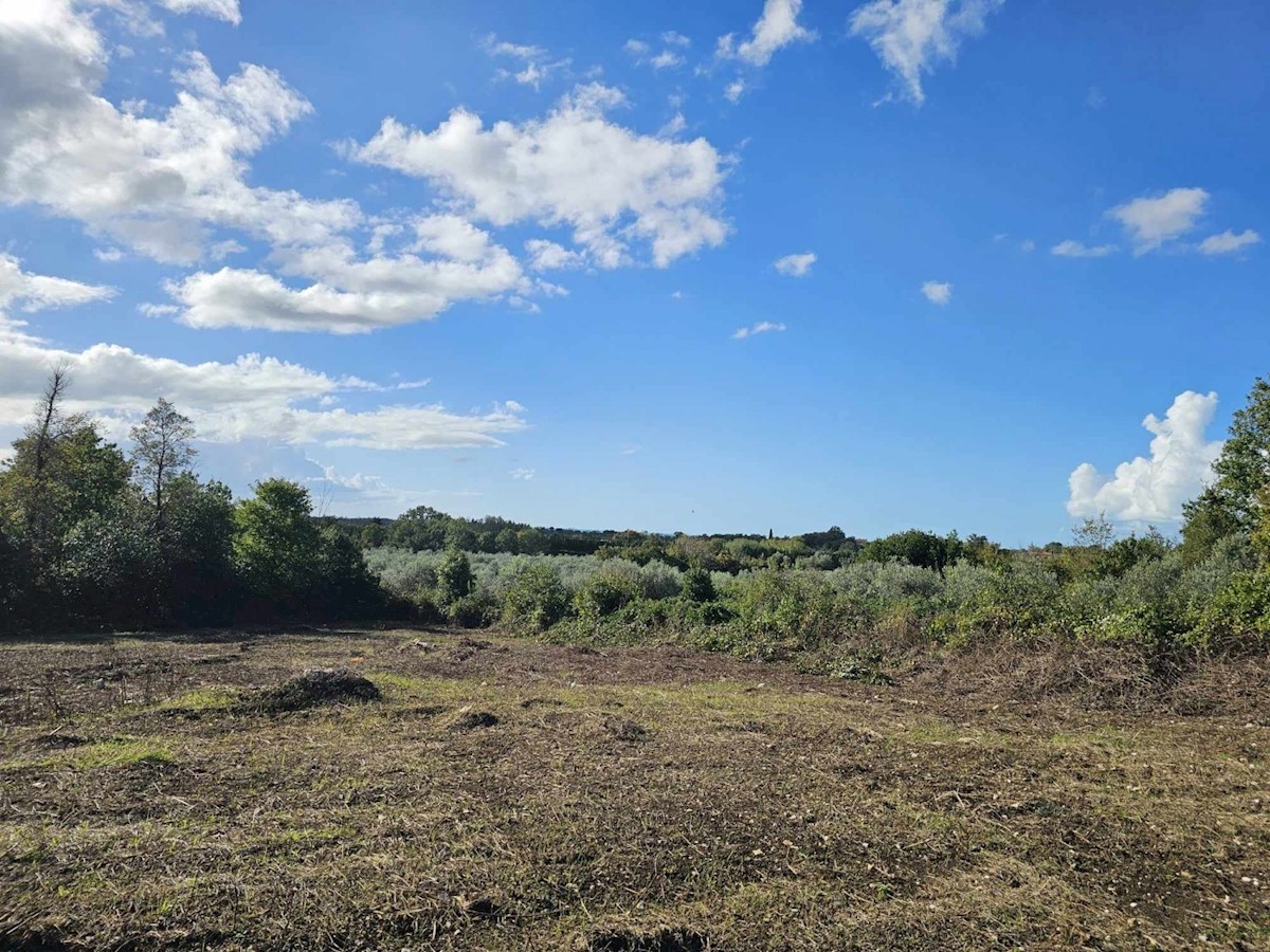 Land For sale - ISTARSKA BRTONIGLA