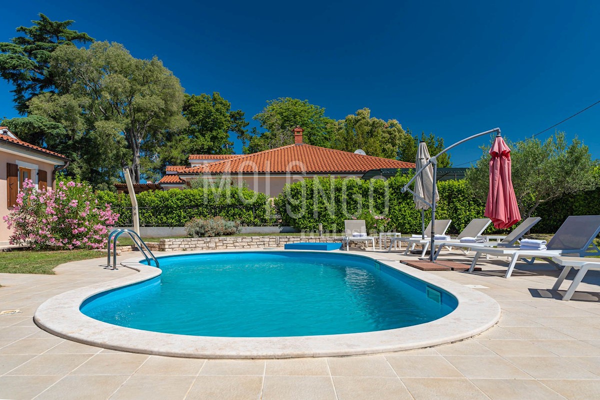 House For sale - Istarska Višnjan - foto 3/30