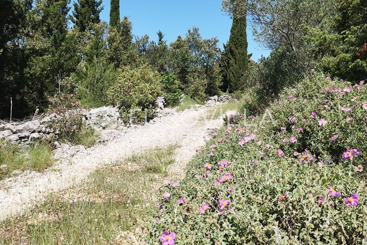 Maison À vendre - SPLITSKO-DALMATINSKA HVAR