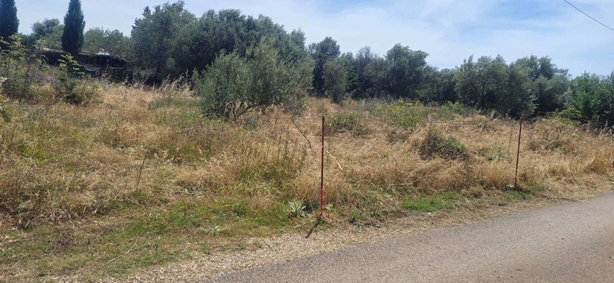 Land For sale - ZADARSKA SUKOŠAN