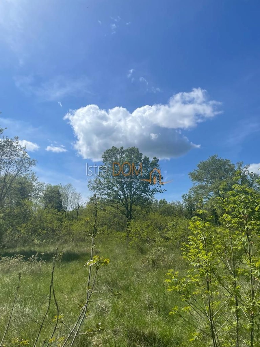 Land For sale - ISTARSKA MARČANA