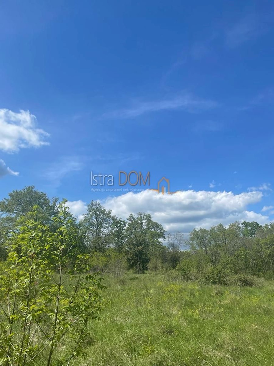 Land For sale - ISTARSKA MARČANA