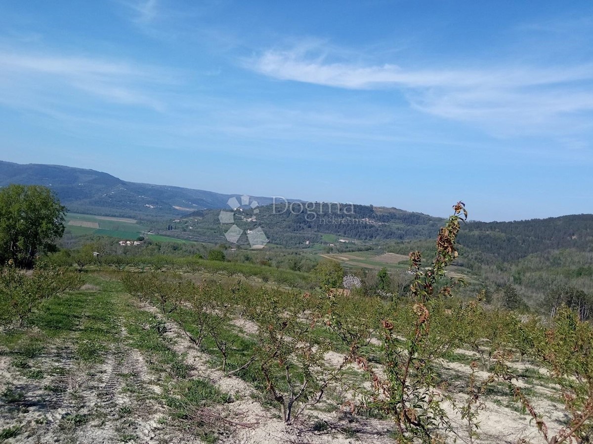 Grundstück Zu verkaufen - ISTARSKA MOTOVUN