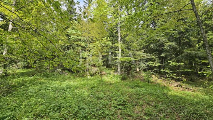 Pozemok na predaj 2960 m² – Bribir
