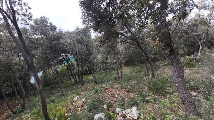 Parcela Na predaj - Istarska Marčana - foto 2/2