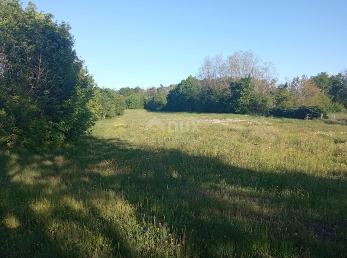 Parcela Na predaj - ISTARSKA PAZIN
