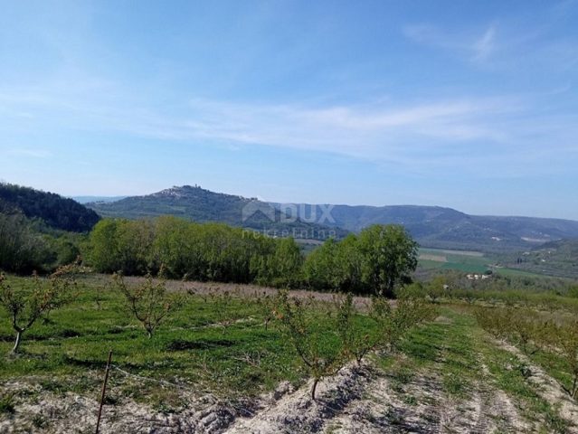 Land for sale 3597 m² – Motovun