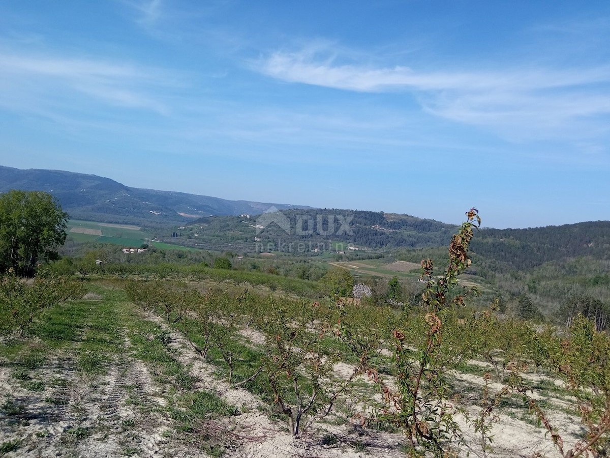Terreno In vendita - ISTARSKA MOTOVUN