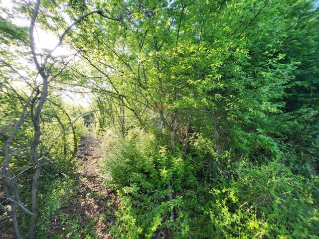 Zemljište na prodaju 2141 m² – Bale