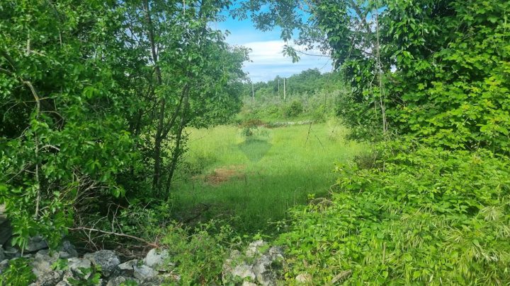Terrain à vendre 9156 m² – Krnica