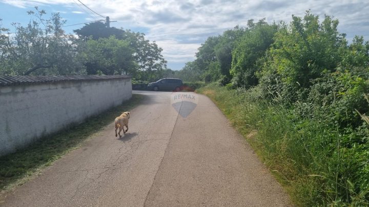 Grundstück Zu verkaufen - Istarska Marčana - foto 3/5