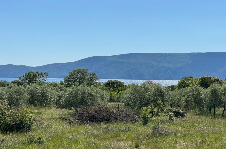 Terrain à vendre 36000 m² – Krk