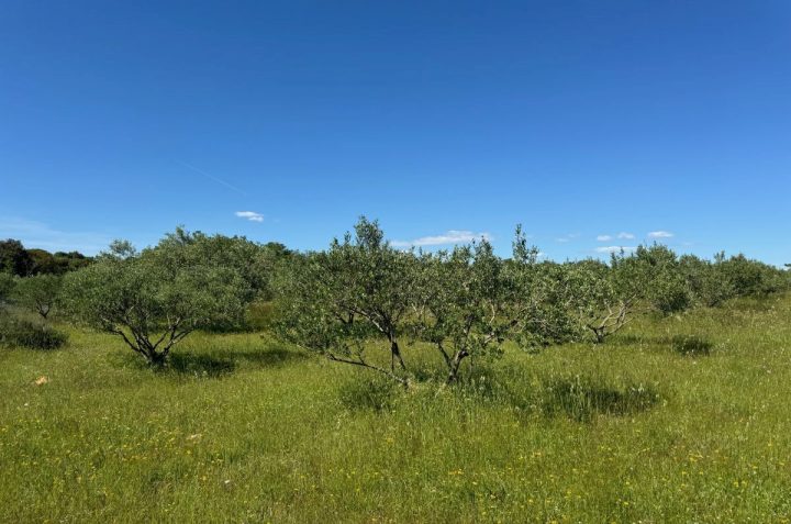 Terrain À vendre - Primorsko-goranska Krk - foto 2/12