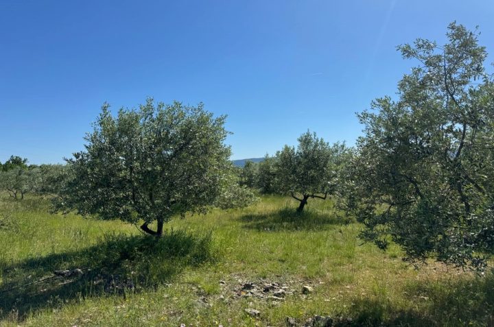 Terrain À vendre - Primorsko-goranska Krk - foto 4/12