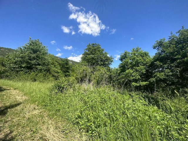 Terreno In vendita - Istarska Buje - foto 2/4