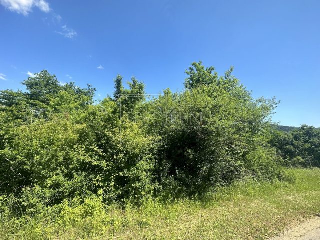 Terreno In vendita - Istarska Buje - foto 4/4