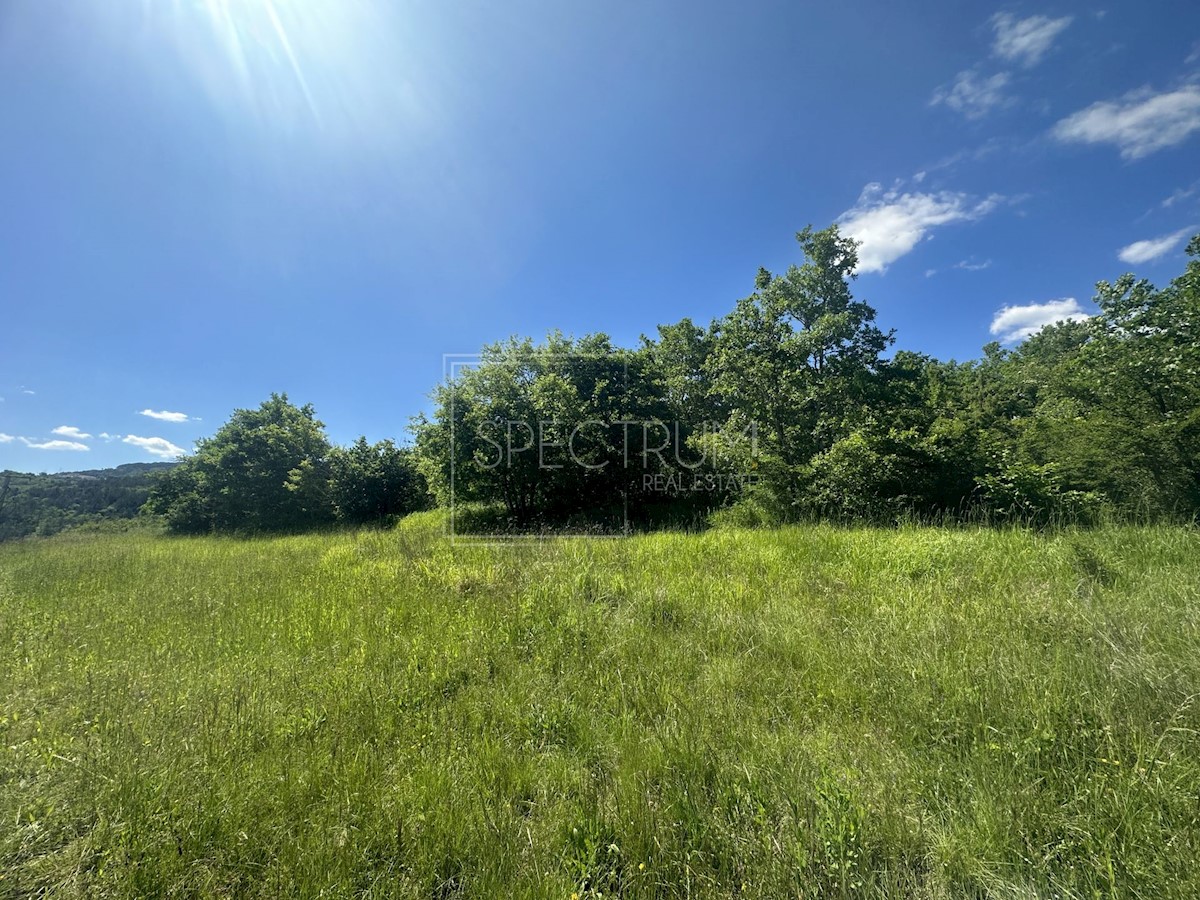 Land For sale - ISTARSKA BUJE