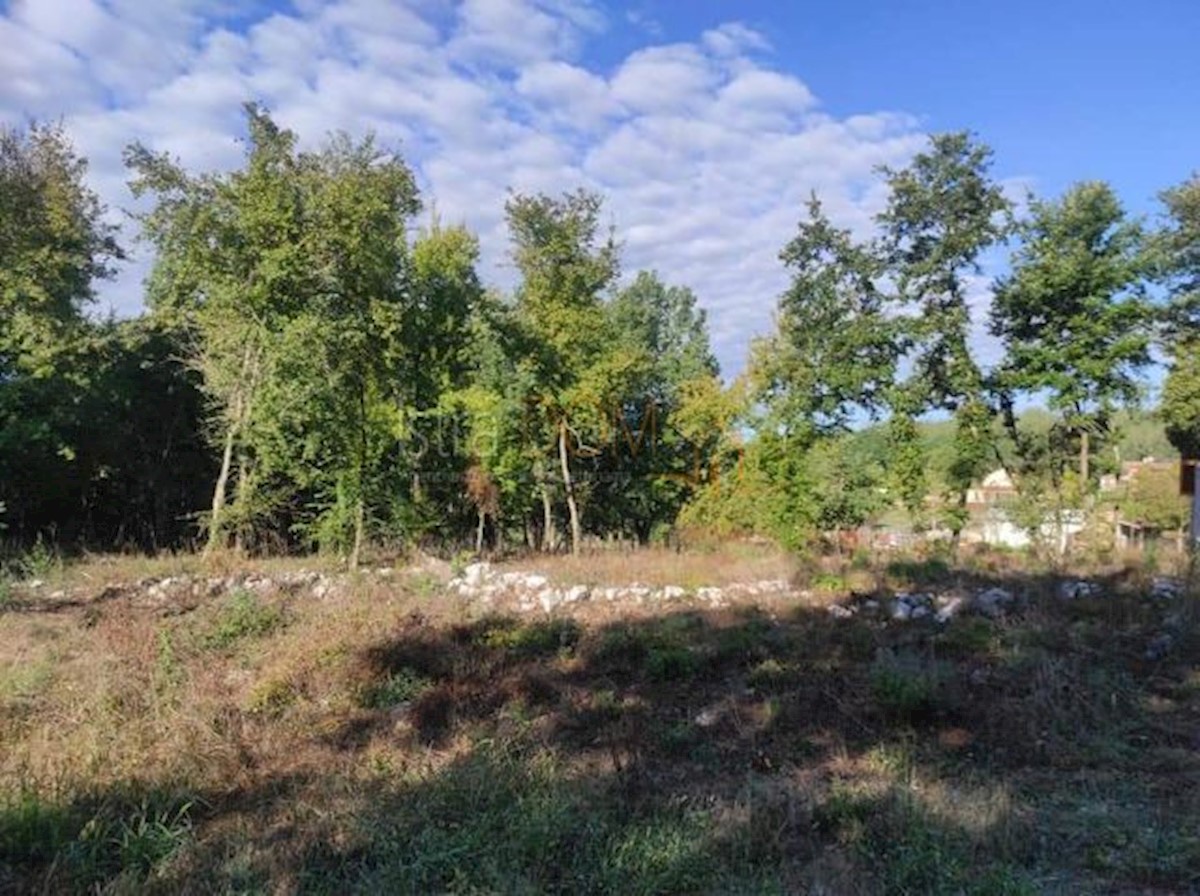 Terrain À vendre - ISTARSKA Karojba