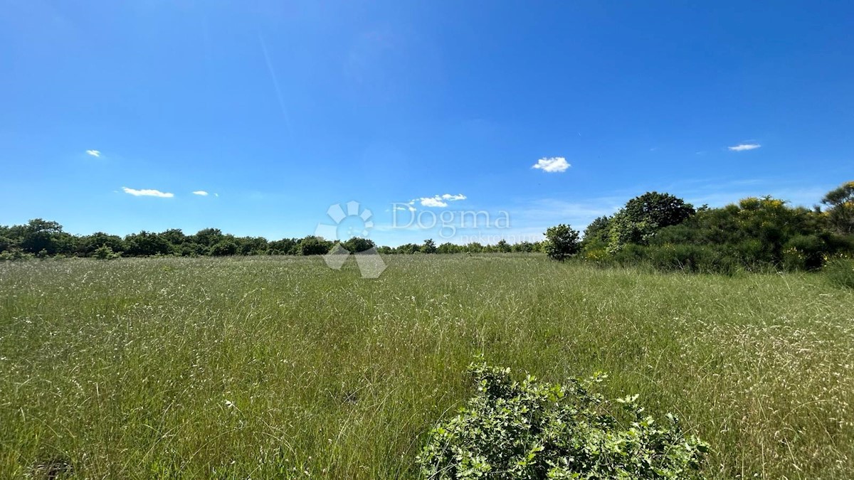 Land For sale - ISTARSKA MARČANA