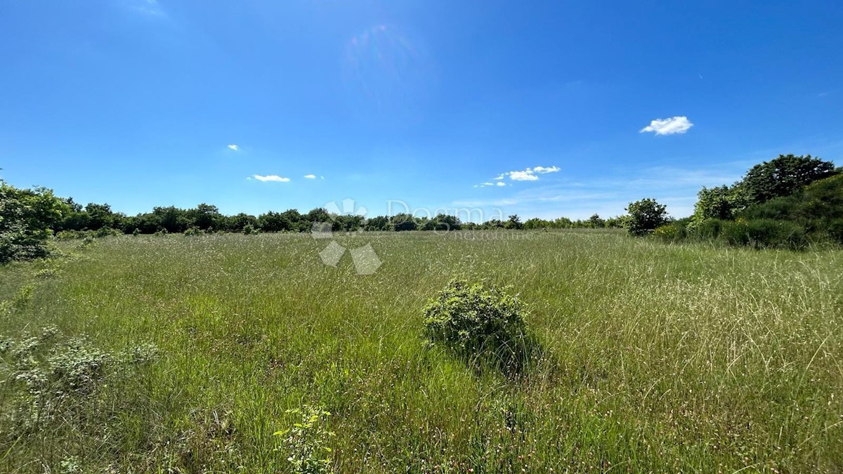 Land For sale - ISTARSKA MARČANA