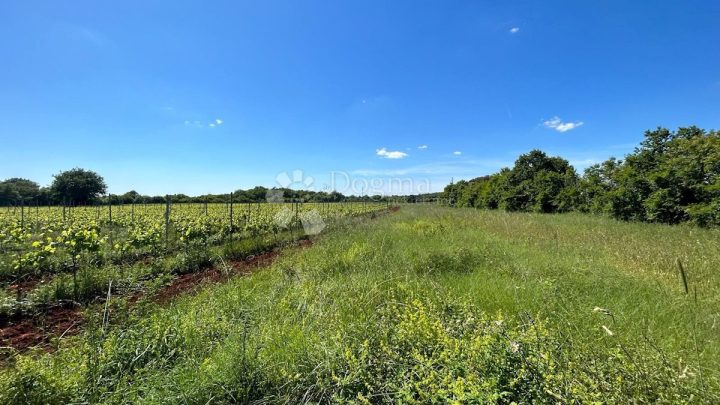 Grundstück zu verkaufen 1971 m² – Muntić
