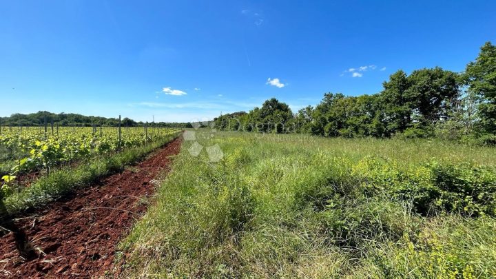 Terreno In vendita - Istarska Ližnjan - foto 5/5