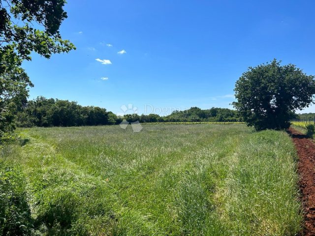 Terreno in vendita 3352 m² – Muntić