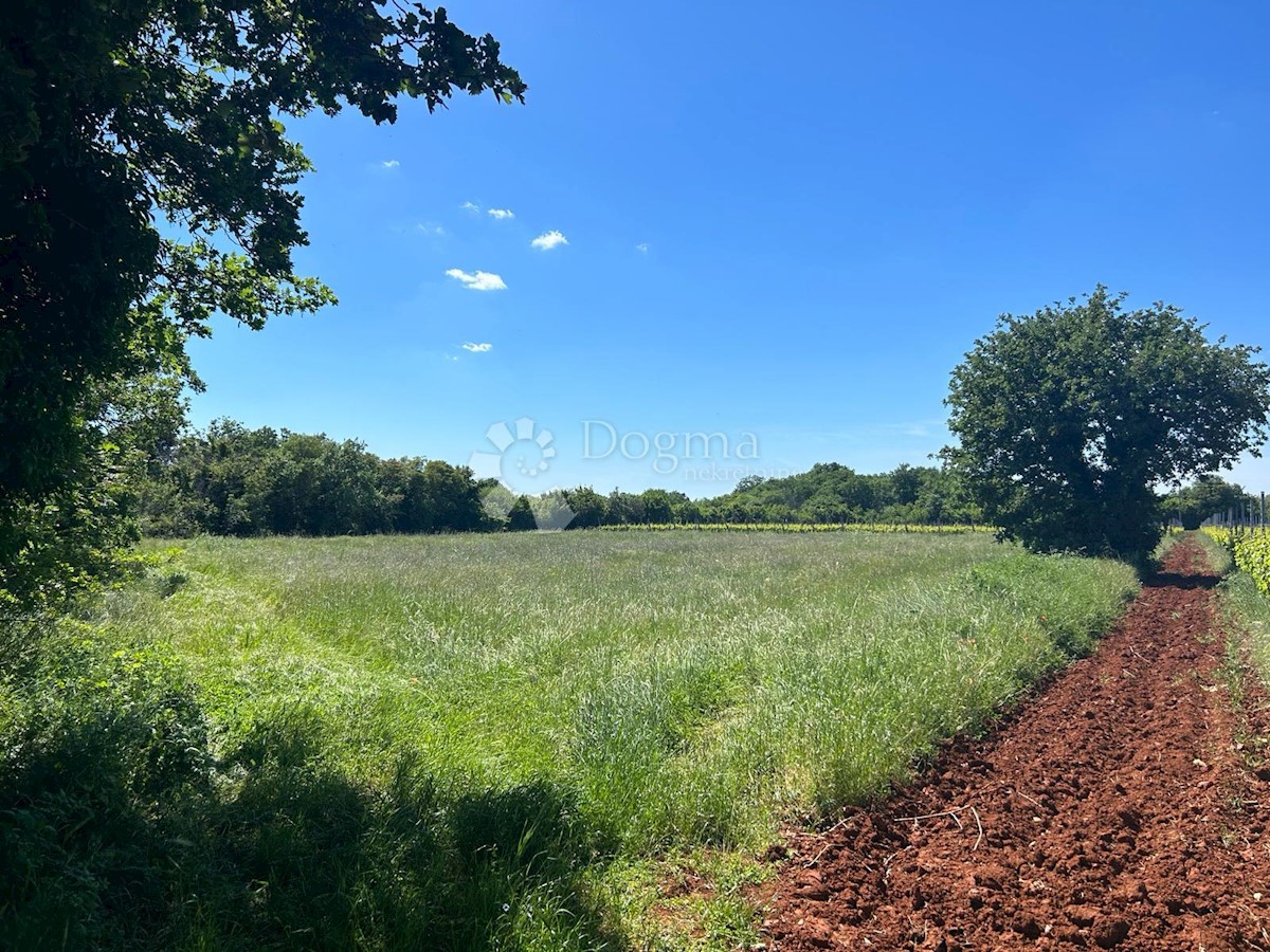Terreno In vendita - ISTARSKA LIŽNJAN