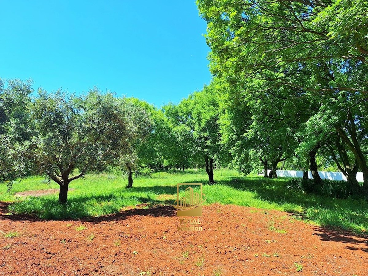 Dom Na predaj - ISTARSKA BARBAN