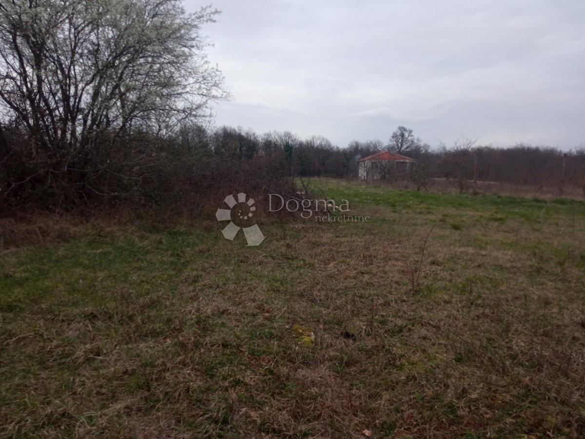 Land For sale ŽMINJ