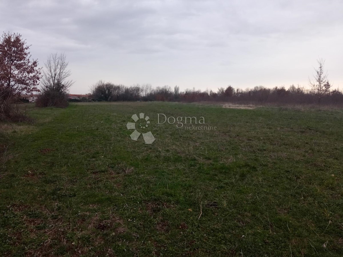 Land For sale - Istarska Žminj