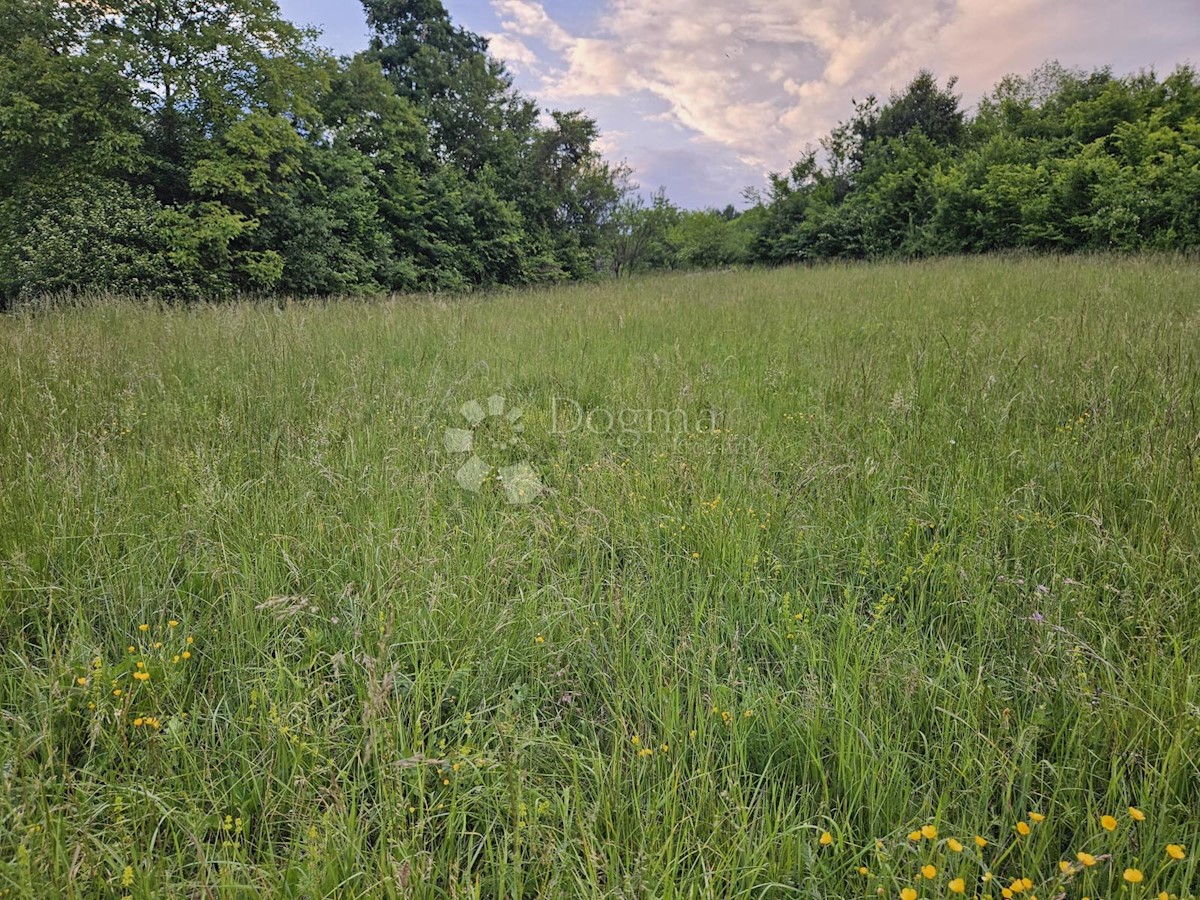 Pozemok Na predaj - ZAGREBAČKA BRDOVEC