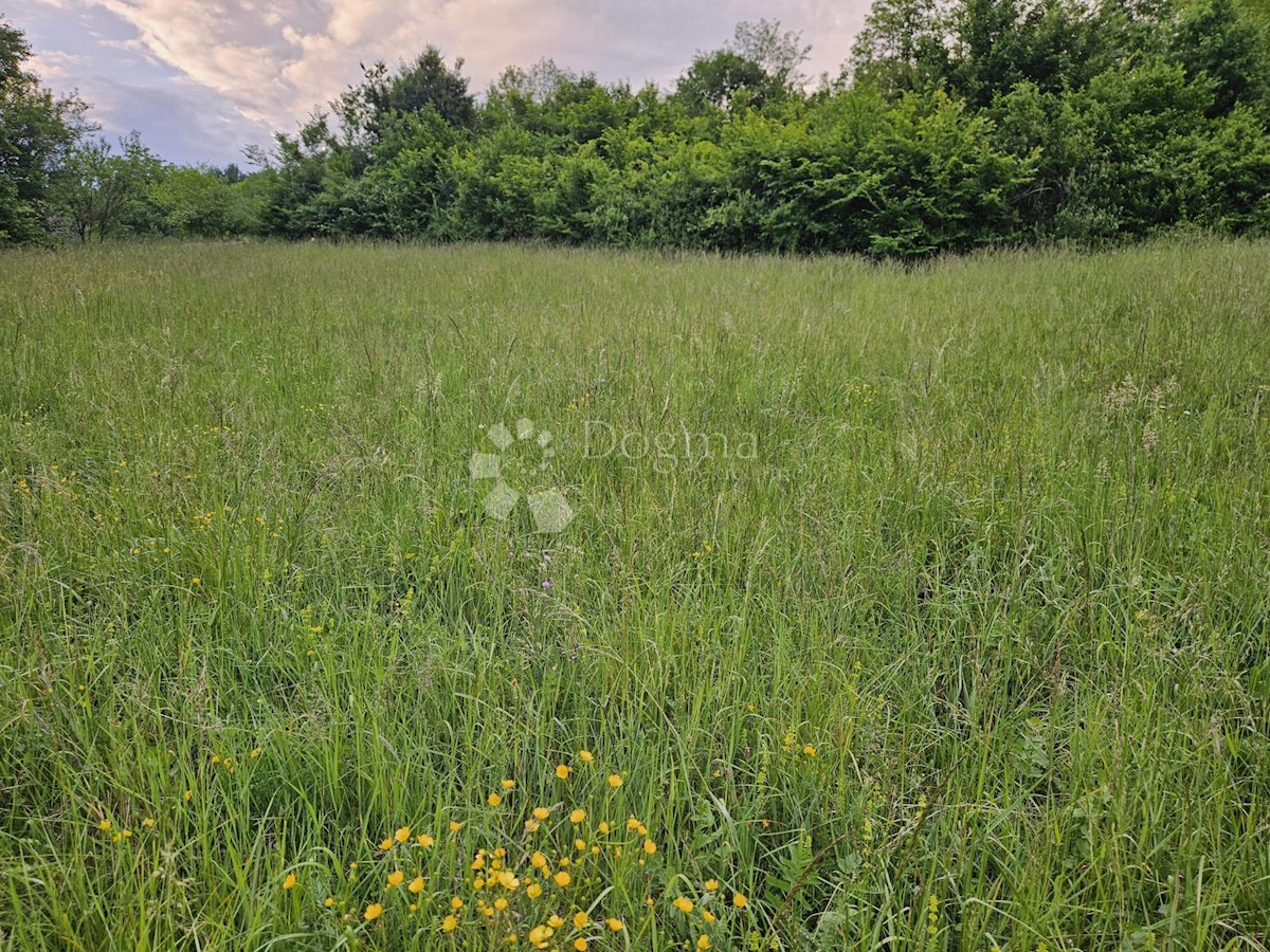 Land For sale - ZAGREBAČKA BRDOVEC