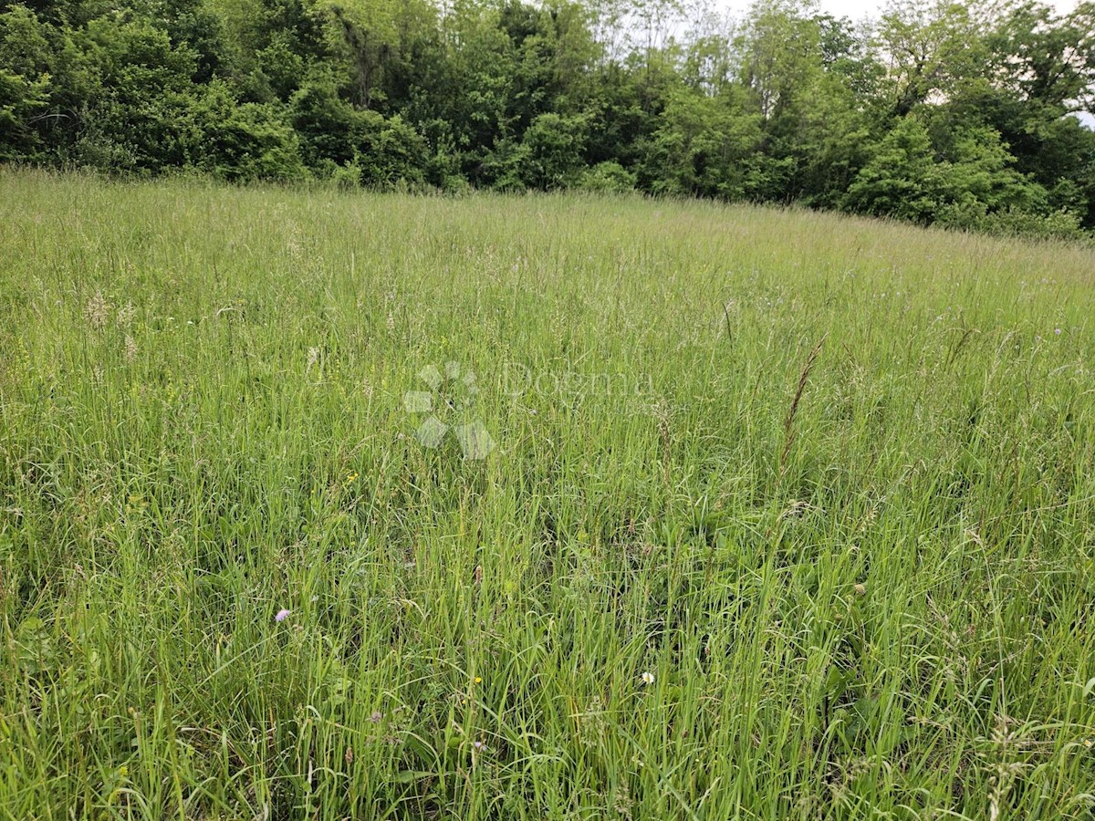 Terreno In vendita - ZAGREBAČKA BRDOVEC